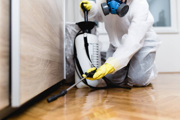 Best Pest Control Near Me in Rochelle, IL