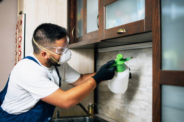 Best Best Pest Control Companies  in Rochelle, IL