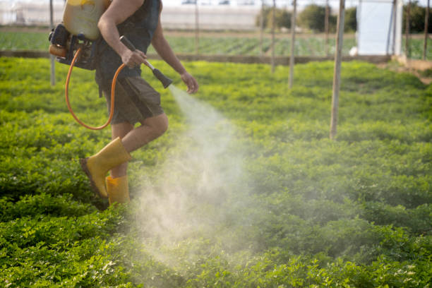 Best Commercial Pest Control Services  in Rochelle, IL
