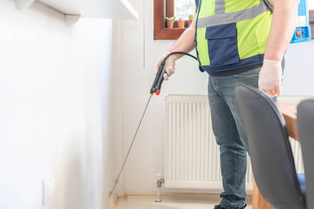 Best Wasp Removal Services  in Rochelle, IL