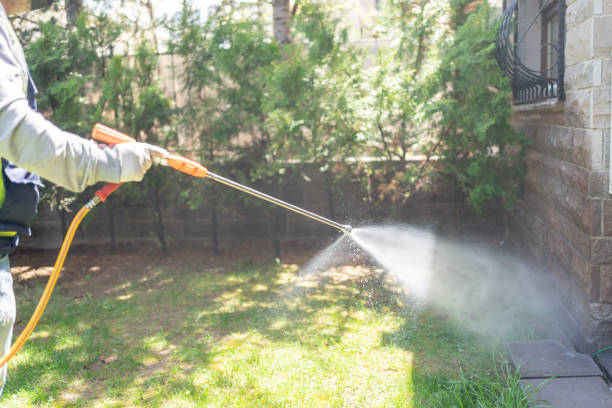 Best Affordable Pest Control Services  in Rochelle, IL