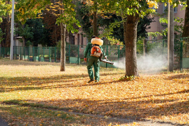 Best Mosquito Control Services  in Rochelle, IL
